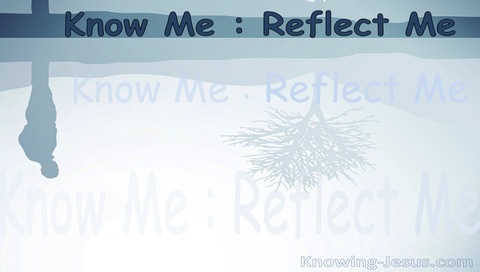 Know Me - Reflect Me (devotional)02-17 (gray)